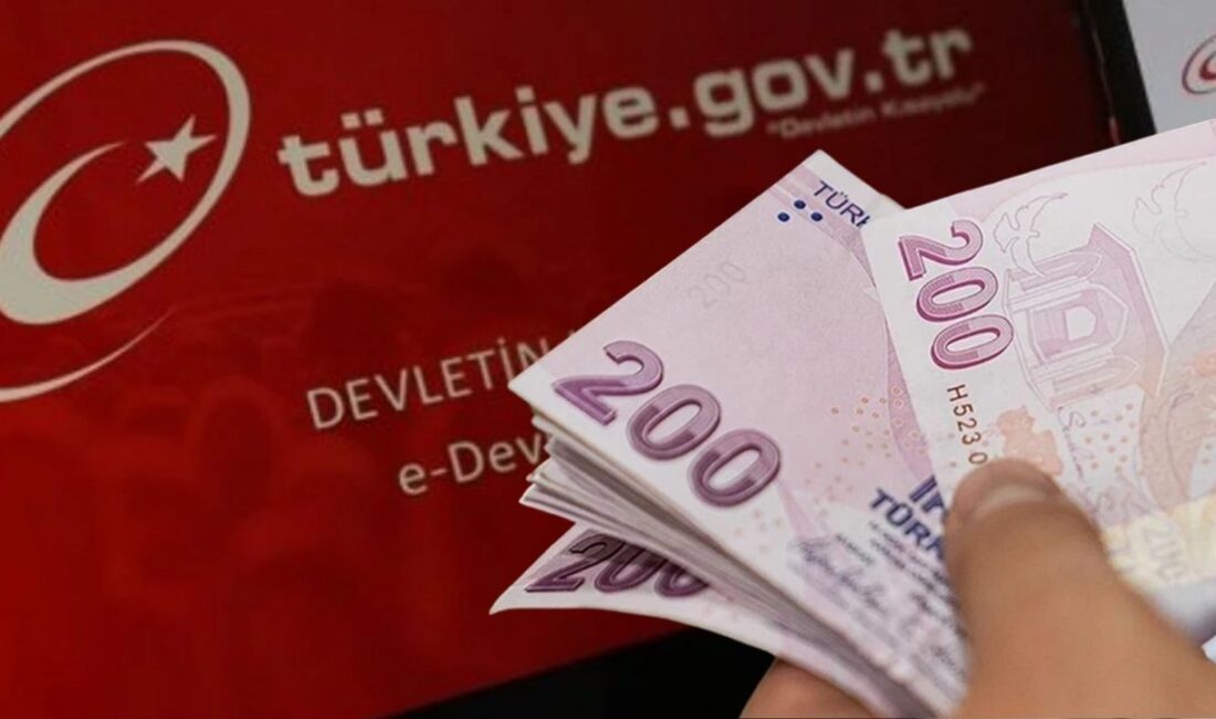 E-Devlet üzerinden yapılan sorgulamayla bir kenarda unuttuğunuz birikmiş paralarınızı bulabiliyorsunuz.