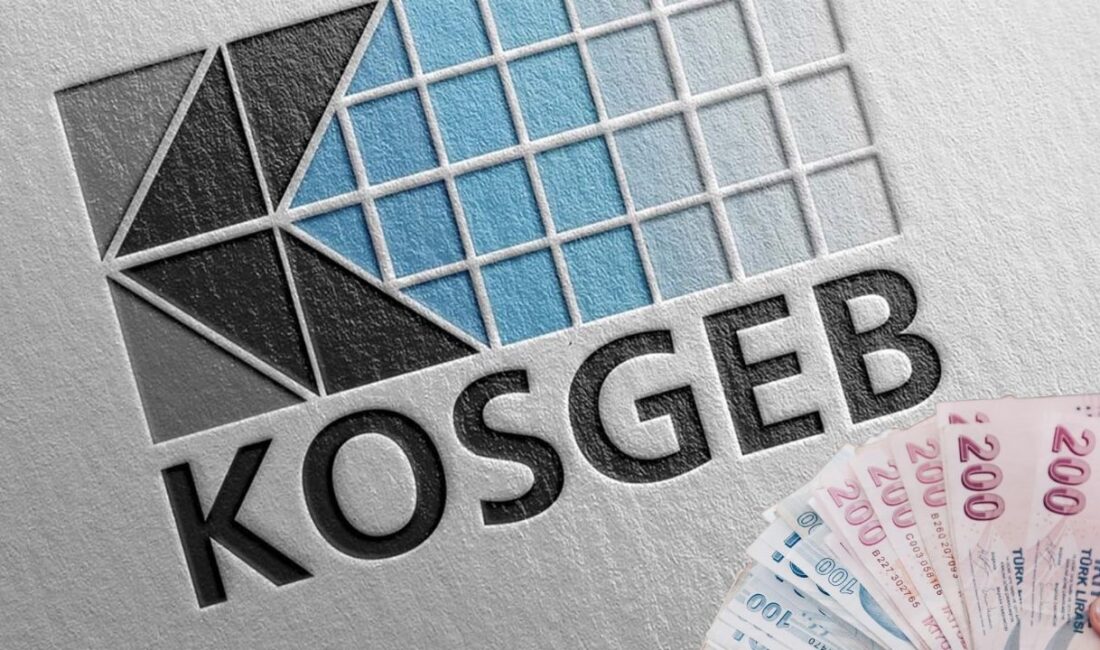 KOSGEB, girişimciler için destek programı başlattı. Bu programla 3 milyon