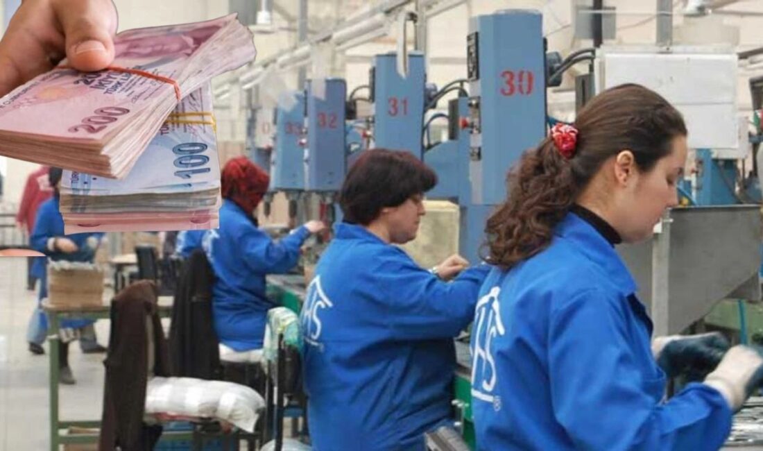 İŞKUR'un işbaşı eğitimleri büyük fırsat sunuyor. Bir taraftan iş eğitimi